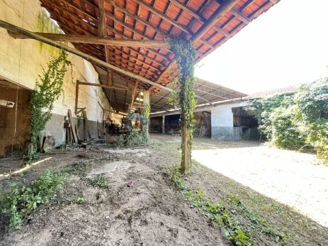 Prédio com habitação e comercio - Anadia