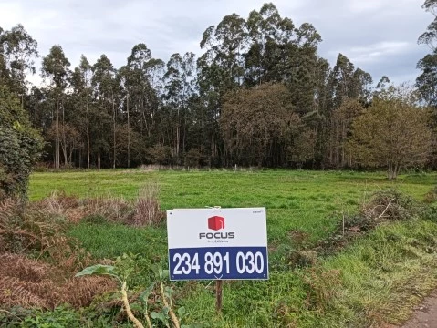 Terreno com 37m de frente - Estarreja