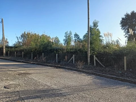 Terreno com 60m de frente - São Bernardo / Aveiro