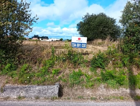 Terreno Rustico / Agrícola - Cacia - Para Investimento
