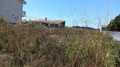 Terreno / lote para construção de moradia - Ílhavo