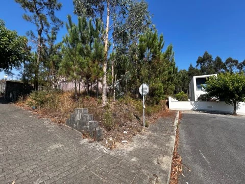 IMG-20250814-WA0302