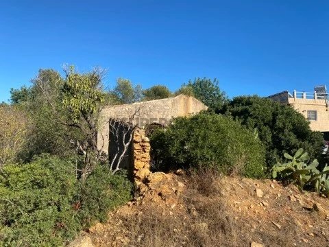 Ruina