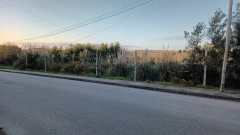 20240305_174136