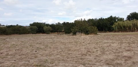 Imagem terreno