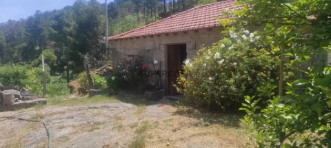 Quintinha em Cinfães do Douro