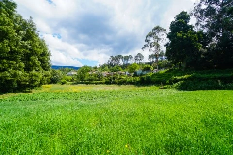 Terreno para venda em Cerdal, Valença