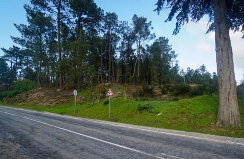 Terreno para venda, Moreira, Monção