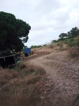 QUINTA 5.000 M2