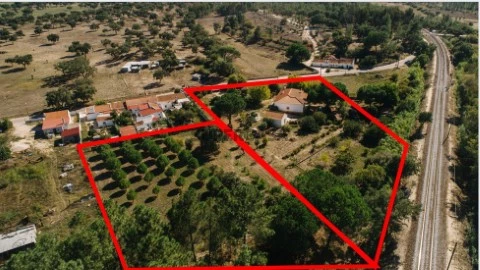Coruche - - Quinta de 11.250 m² na Salgueirinha, Coruche. Com Casa Térrea e Árvores de Fruto