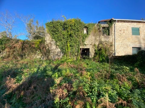 IMG-20241230-WA0048