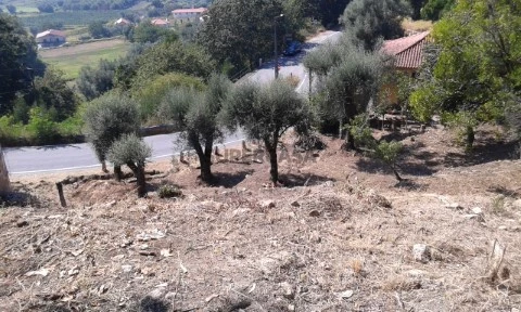 Terreno