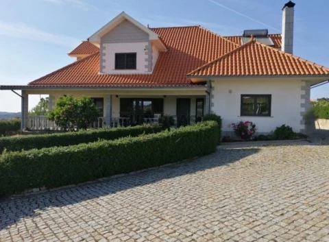 Quinta Vinícola no Douro