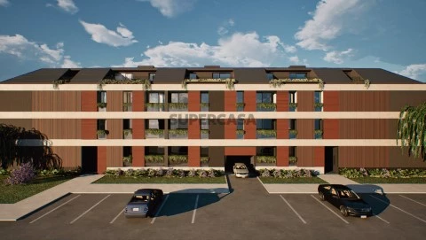 Externa alta 1