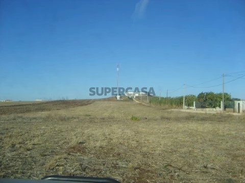 S6002493