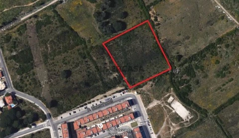 adroana 11000 m2