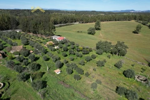 DJI_0224