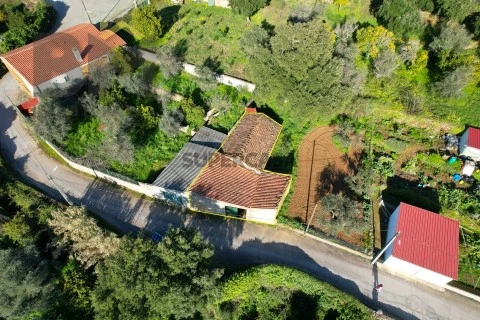 DJI_0040
