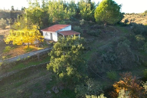 DJI_0021