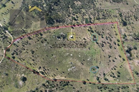 DJI_0300