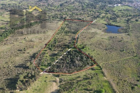 DJI_0035