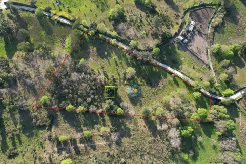 DJI_0022