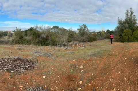 Terreno