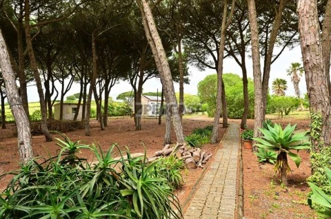 Quintal/Jardim