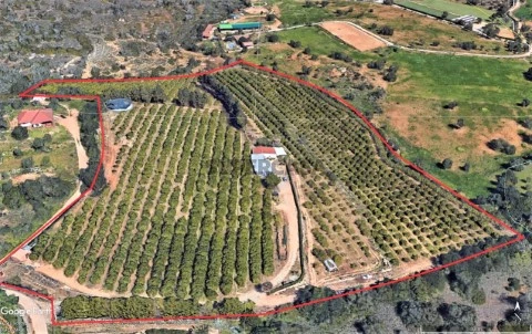 Terreno misto Pêra - foto aérea