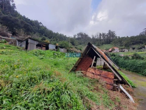 Terreno