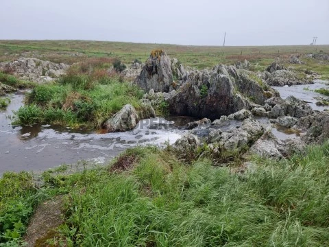 Moradia junto ao rio com azenha, moinho de agua e um lago que alimenta o moinho. ideal para viver arrendamento ou alojamento ...
