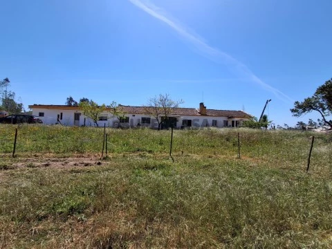 Terreno