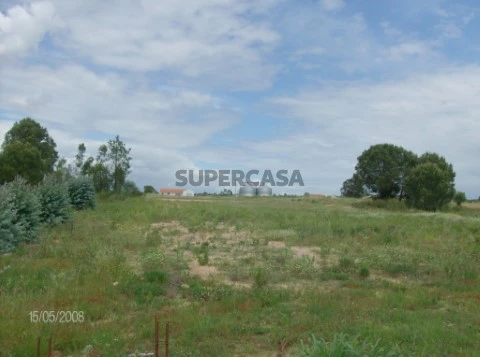 Terreno em Biscaínho, Coruche