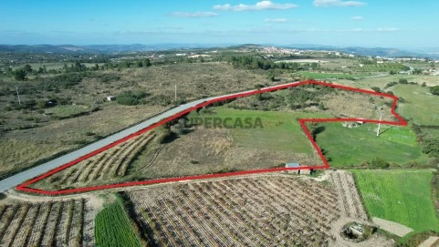 Lagarteira