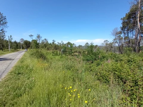 Terreno em Calde, Viseu
