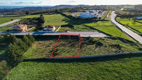 LOTE 2
