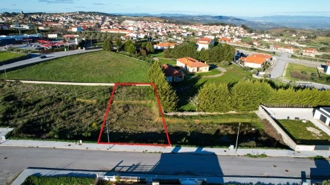 LOTE 3