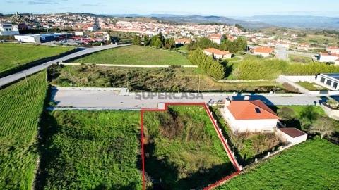 LOTE 8