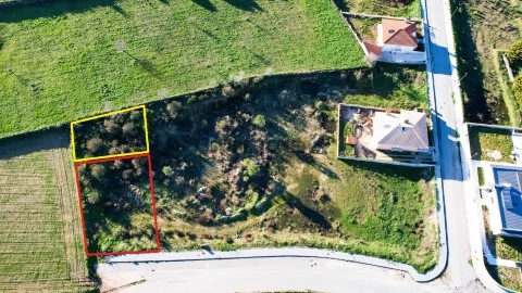 LOTE 8