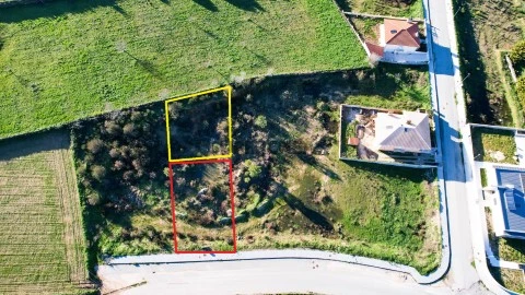 LOTE 7