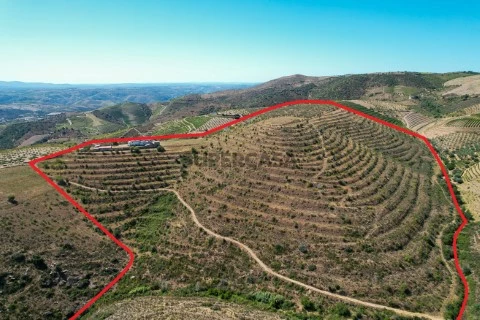 AÉREA