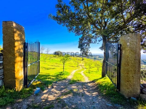 ENTRADA