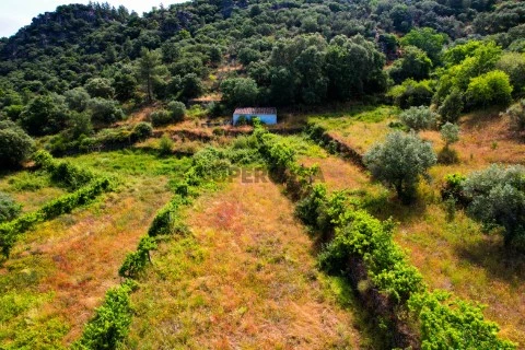 TERRENO 1