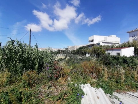 Ajuda (67)