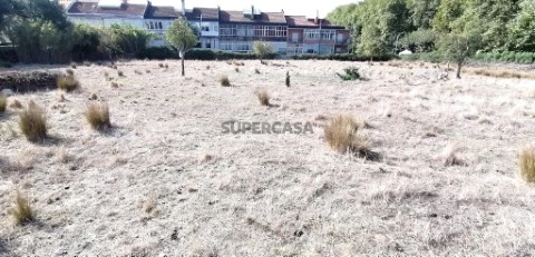 Terreno Caneças #predipereira (5)