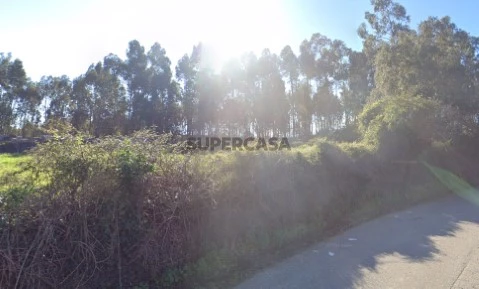 terreno 3