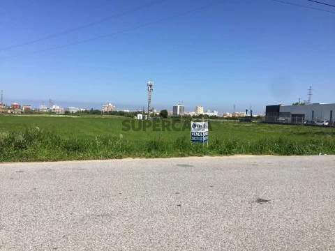 Terreno