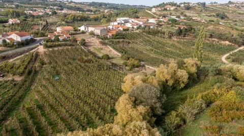 Terreno no Vimeiro