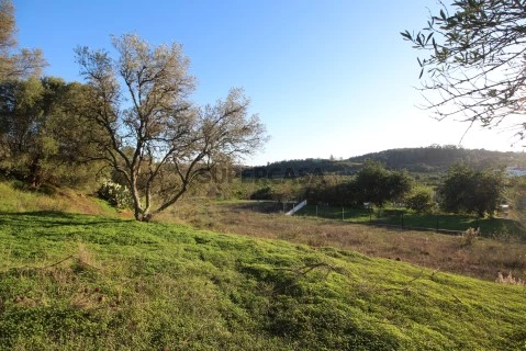 04 - Terreno