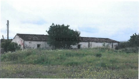 Herdade em Santo Estevão